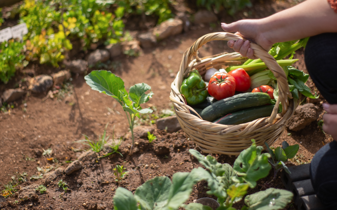 3 Ways to Make Money From Your Garden This Spring
